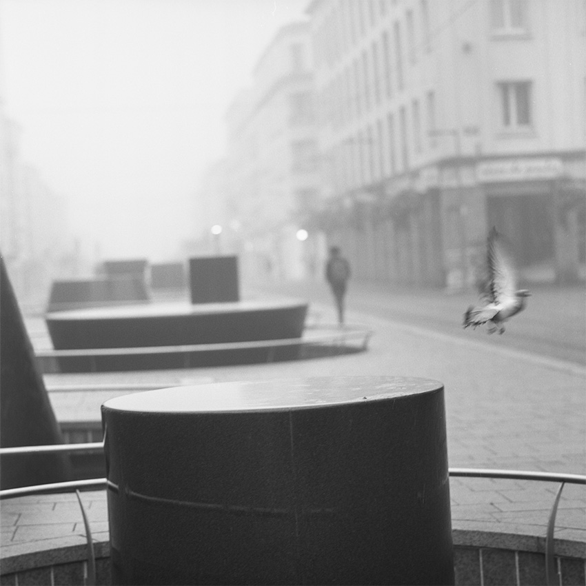 Brest, rue de Siam. Un homme marche dans la brume et un pigeon prend son envol des fontaines